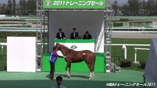 HBAトレーニングセール2011 -No.45- ヤマカツアンナの２００９