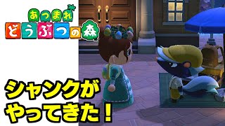 シャンクがやってきた！【あつ森】あつまれどうぶつの森　Part 45