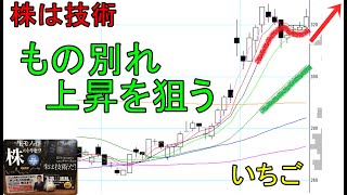 株は技術　もの別れから上昇を狙う　ショットガン投資法　いちご　〔第1275回〕