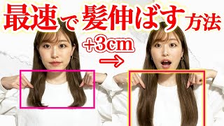 髪を最短で伸ばす方法！表参道美容師が今日からできる裏技を紹介します♪