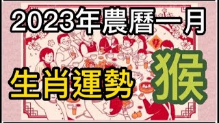 【古柏論命每月運勢】2023年農曆正月(陽曆1/22 ~ 2/19)生肖運勢分享 -  猴