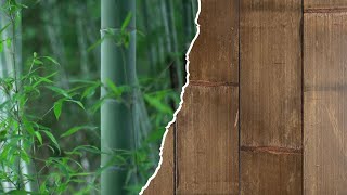 Newest MOSO Bamboo Forest Flooring Introduction Video