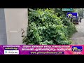 മുല്ലശ്ശേരി സെന്ററിലെ വിശ്രമകേന്ദ്രം കാടുകയറി ഉപയോഗശൂന്യമായ നിലയില്‍