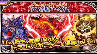 【ドラエグ】ドラゴンサポーターで強くなろう‼︎