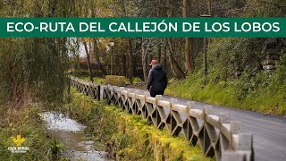 Canal Prestosu | Rutas prestosas: Eco-Ruta Callejón de los Lobos, Valle de Cabuérniga #Cantabria