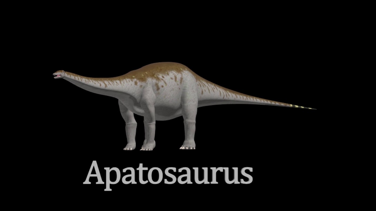 Apatosaurus Dinosaur Facts - YouTube