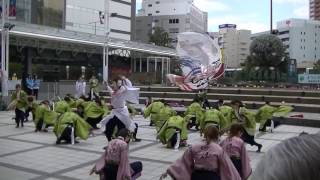 20170311がんこ祭り、キタラ)同志社大学 京都よさこい連心粋