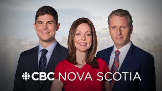 CBC Nova Scotia News Feb. 14, 2024 | Snow forces wildlife onto roads and highways