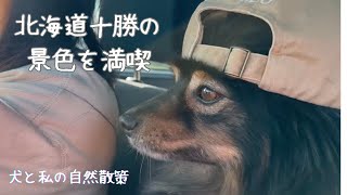 ［多頭散歩vlog］何もない平野を散歩🐾