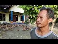 Download Meski Sering Rugi, Selama 7 Tahun Bogel Nekat Ternak Bebek Petelur..!! In Mp4 3Gp Full HD Video