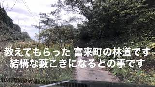 富来の名も無い林道