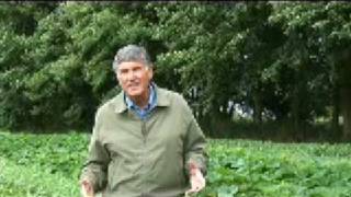 Galloping Gourmet Graham Kerr makes Beet Salad Hippy-style