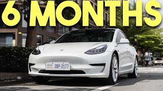 2023 Tesla Model 3 Six Months Later - Watch Before You Buy!!