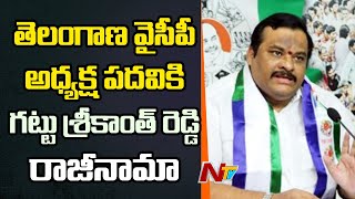 Gattu Srikanth Reddy Resigned For Telangana YSRCP President Post | Ntv