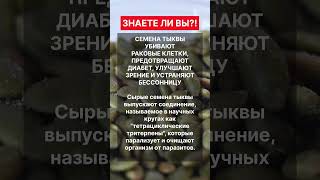 Нравится ли вам семена тыквы? Пишите в комментариях🖊️