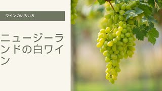 ニュージーランドの白ワイン　#wine #ワイン