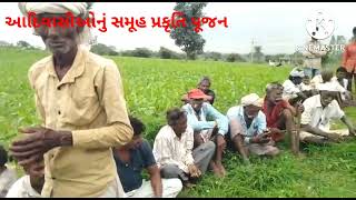 Dahod Adivasi prakruti pujan