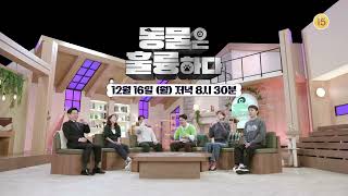 [#동물은훌륭하다] [5회 예고] 귀요미들의 깜짝 놀랄만한 반전매력💥｜KBS 방송