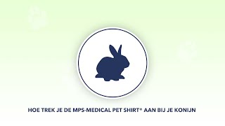 MPS-Medical Pet Shirt® Konijn | Hoe trekt u het aan bij uw konijn?