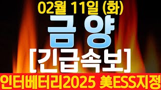 [금양] 긴급속보! 인터베터리 2025 美ESS수주 지정! 예상 주가전망 향후 중요일정 결국 이렇게 확정입니다.#에스엠렙 #드림팩토리# 피라인모터스 #나노테크에너지 #4695