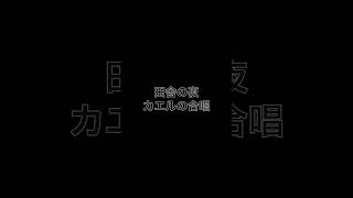 カエルの合唱を聴く時間