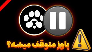 پاوز رو کدوم شبکه لانچ میشه؟ تون یا سولانا🚫 بسته شدن ربات Paws