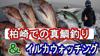 【柏崎マリーナ】柏崎の海での鯛釣り＆イルカウォッチング動画！最高の釣り体験を共有