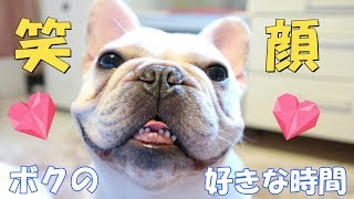 My dog's hobby【frenchbulldog】