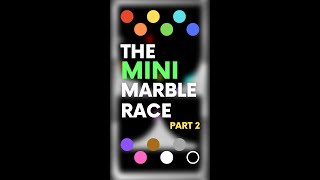 The Mini Marble Race (Part 2/11)