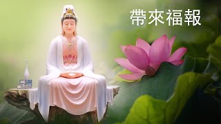 祝福💖大家平安吉祥😊🌷 消除災禍、帶來福報🌿 🌷 阿弥陀佛大家平安吉祥🌷 祈願疫情消弭🌿佛陀永远保佑你的家庭，消除災禍🙏 每日聽一聽淨心又自在