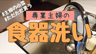 【キッチンリセット#2】専業主婦がひたすら食器を洗う！小言をいいながら！