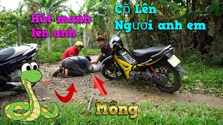 NVL | Video Không được bắt chước - vàng tiền