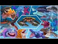 EVOLVED SHARKS vs Giant CRAB vs Regular Sharks! Hungry Shark Evolution