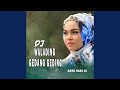 DJ Walading Gedang Geding (Remix Aceh)