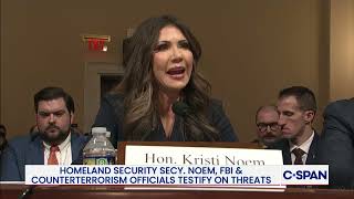 DHS Secretary Kristi Noem: "You all should be fired, in my viewpoint."