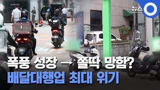 폭풍 성장 → 쫄딱 망함?... 배달대행업 최대 위기 / OBS 뉴스O