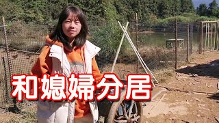 【石頭記事】小伙深山養雞，打算和媳婦分開居住，媳婦聽後不開心了