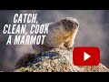 Catch, Clean and Cook a Marmot