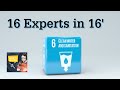 16 Experts offer their Ideas to Solve the Threatening UN SDG6 Crisis