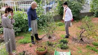 植木の里親☆感動の再会！！