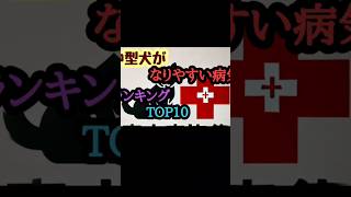 中型犬がなりやすい病気ランキングTOP10