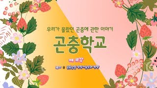 [시흥아카데미]  곤충학교2기 12강1교시  「곤충산업 성장가능성과 방향」 -  김영호(I\u0026S연구소 소장)