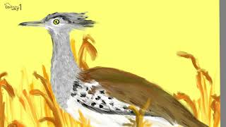 Kori Bustard 아프리카큰느시 그리기