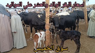 اسعار البقر الوالد والعشر علي المواليد داخل سوق الخميس بمحافظة أسوان اليوم ٢٠٢٥/١/٩