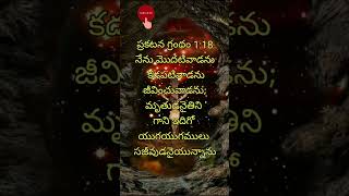 #క్రిస్టియన్#సువార్త#హలేలుయ#ప్రైస్ ది లార్డ్#