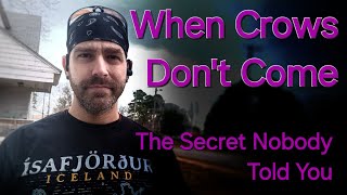 How to Attract Crows - Making Friends With Crows - Learn Stuff With Onen