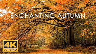 11 HOURS of 4K Enchanting Autumn Nature Scenes + Relaxing Piano Music for Stress Relief #2