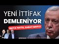 Maya tuttu, Saray mutlu | EDİTÖR MASASI