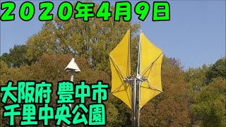 千里中央公園　大阪府　豊中市　2020.4.9