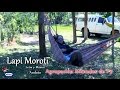 Mimados de Paraguay - Lapi Moroti